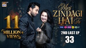 Meri Zindagi Hai Tu Last Episode 34 Review & Ending Explained | Hania Aamir Shocking Twist