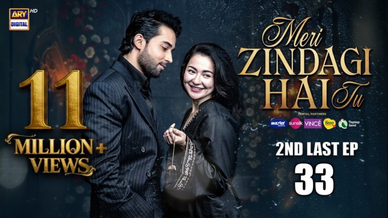 Meri Zindagi Hai Tu Last Episode 34 Review & Ending Explained | Hania Aamir Shocking Twist